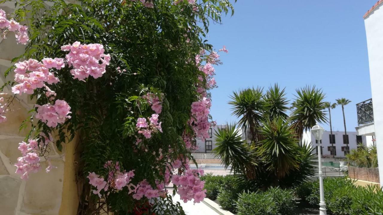 Tenerife Altamar Paradise بلايا ذي لاس أميريكاس المظهر الخارجي الصورة